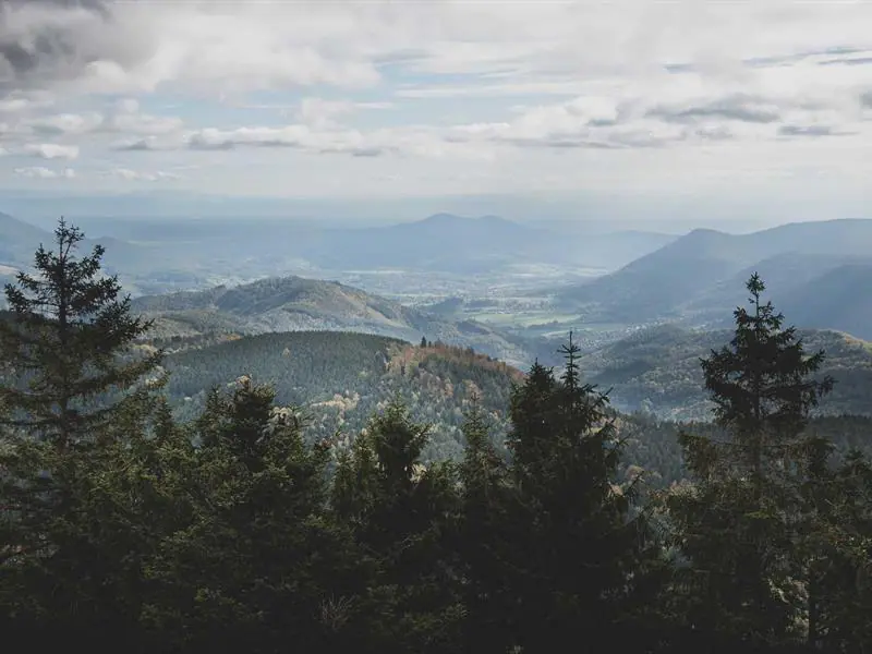 Randonnée Les hauts de Steige et le Climont Steige Grand Est