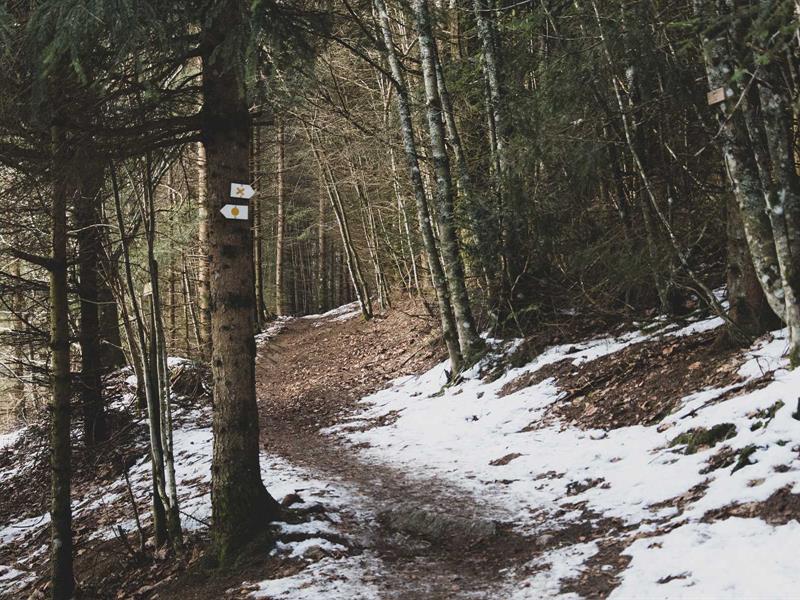 Randonnée Chaume des Veaux Breitenbach Grand Est