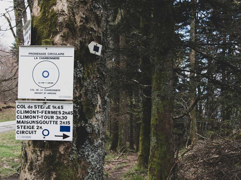 Randonnée Grande boucle du Col de la Charbonnière Breitenbach Grand Est Randonnée Grande boucle du Col de la Charbonnière Breitenbach Grand Est