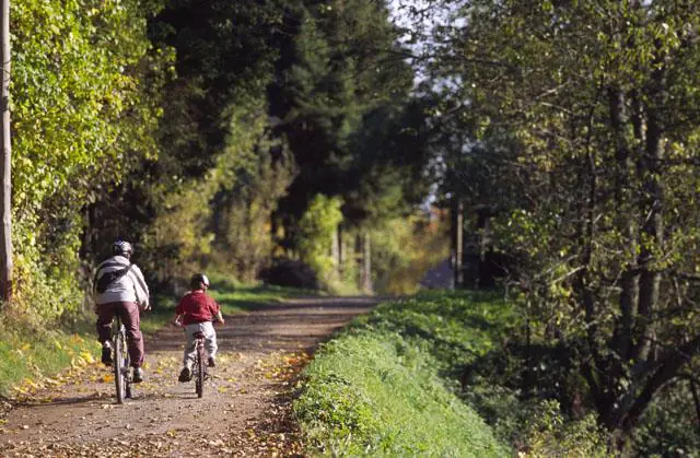 Circuit VTT n°03 Sainte-Marie-aux-Mines Grand Est