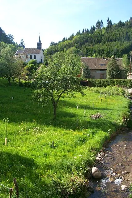 Circuit VTT n°13 Sainte-Marie-aux-Mines Grand Est