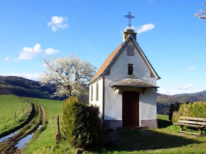 N°10 Le Hury Sainte-Croix-aux-Mines Grand Est