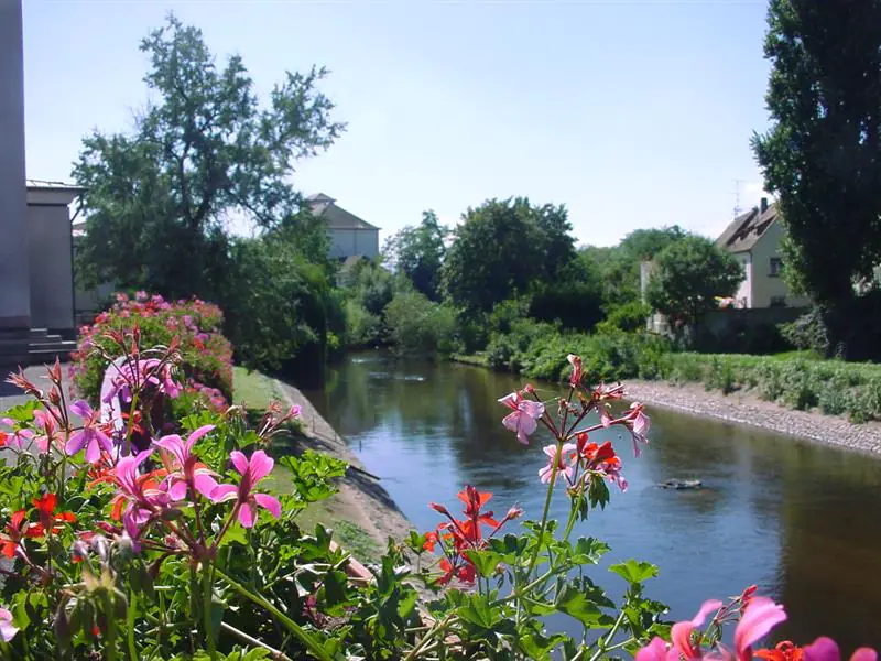 Sentier d'interprétation 'En balade sur les bords de la Fecht'' Ostheim Grand Est