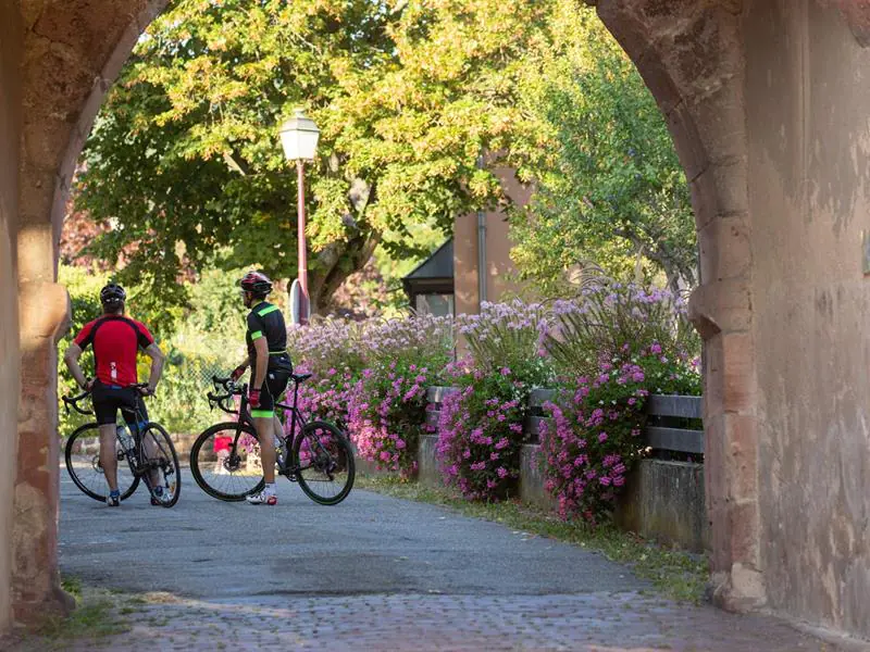 Circuit cyclo Les balcons du vignoble 1 Kaysersberg Vignoble Grand Est