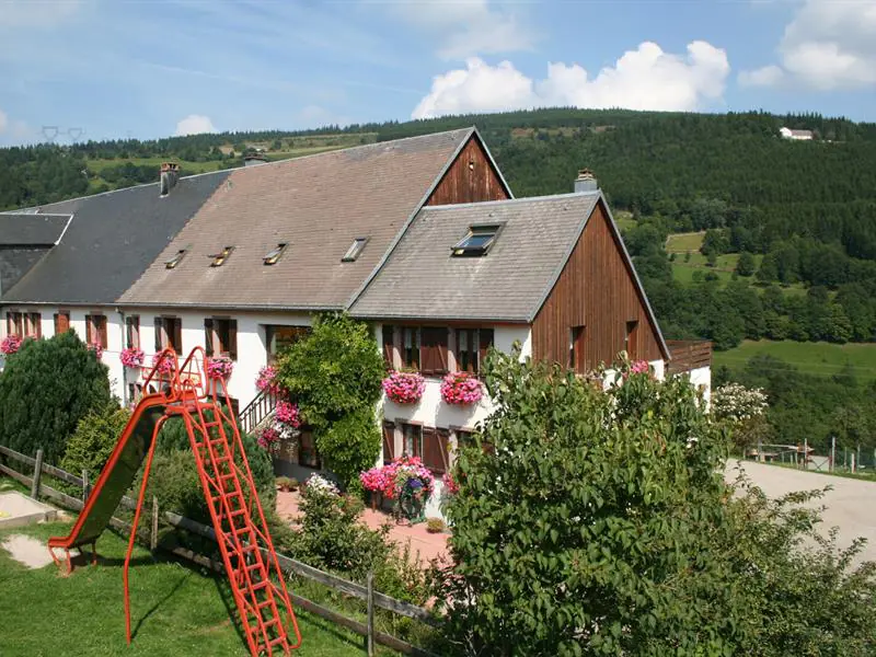 Balade ferme-auberge Pré Bracot Le long des anciennes terrasses Orbey Grand Est