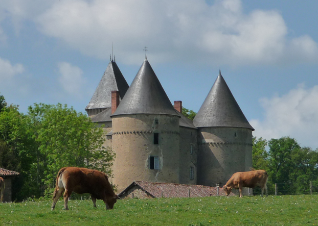 Boucle cyclo 33 km "Châteaux et merveilles de l'Ouest" Oradour-sur-Vayres Nouvelle-Aquitaine