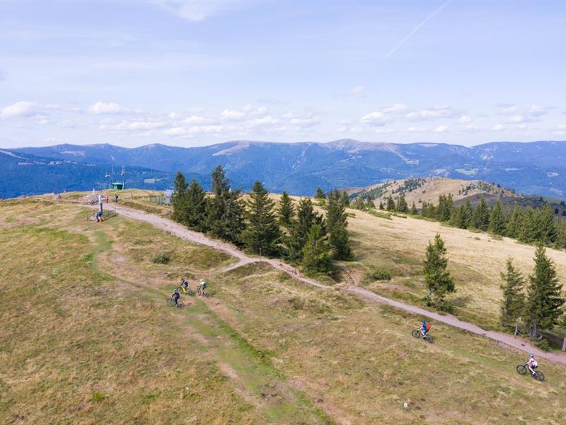 Circuit de randonnée Le tour du Petit Ballon Sondernach Grand Est