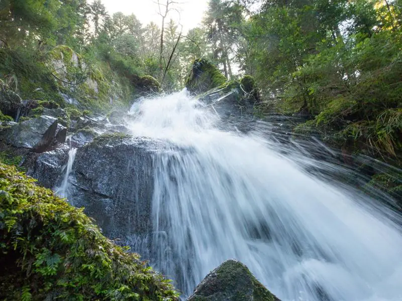 Circuit de randonnée Les cascades de la Wormsa et le lac du Fischboedle Metzeral Grand Est