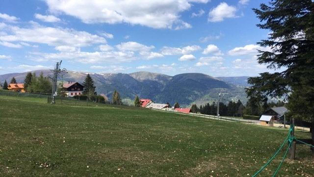 Circuit de randonnée Le Tour du Schnepfenried Sondernach Grand Est