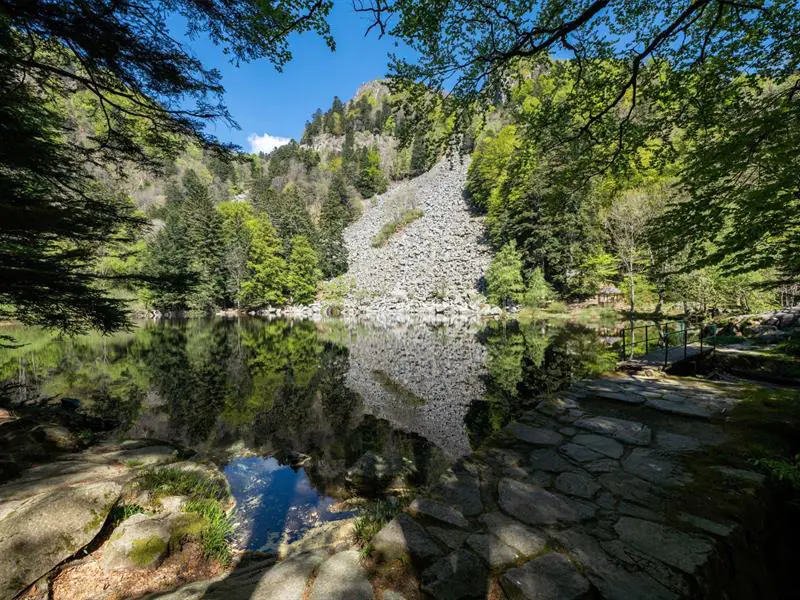 Parcours Trail Le Gaschney Vallée de la Wormsa Muhlbach-sur-Munster Grand Est