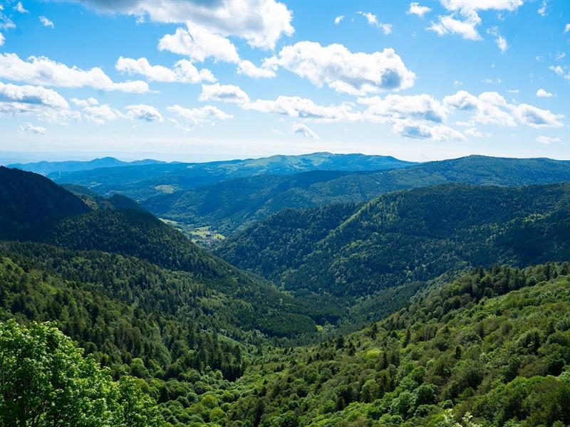 Randonnée Panoramique Wildenstein Grand Est