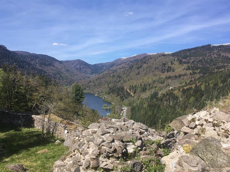 Sentier de découverte du Schlossberg Kruth Grand Est