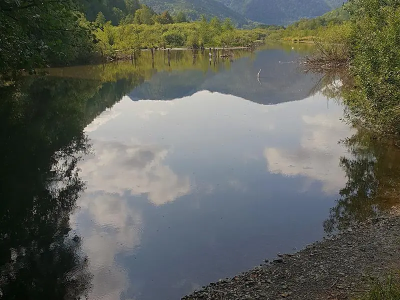 Autour de la tourbière du See Fellering Grand Est