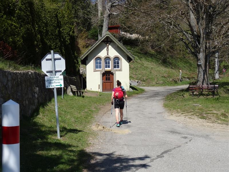 Trail la ferme du Haag au pied du Grand Ballon Goldbach-Altenbach Grand Est