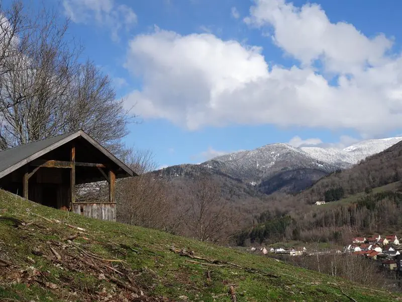 Marche Santé circuit M Mitzach Saint-Amarin Grand Est