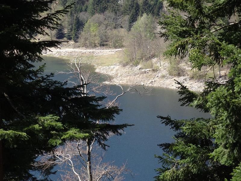 Marche Santé tour du lac de Kruth Wildenstein Kruth Grand Est