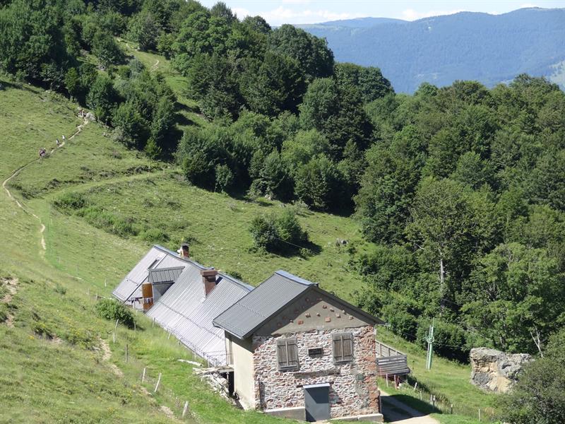 Trail Moosch les trois fermes auberges Moosch Grand Est