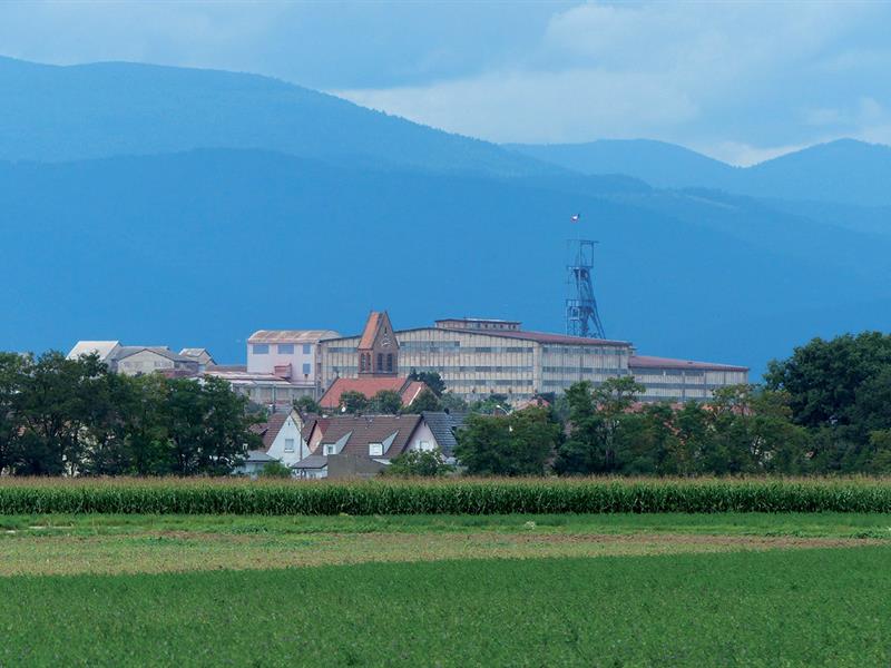 Circuit WITTYRU à Witttenheim et Ruelisheim Wittenheim Grand Est