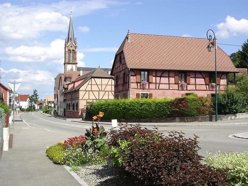 Circuit Les collines de Dietwiller Dietwiller Grand Est