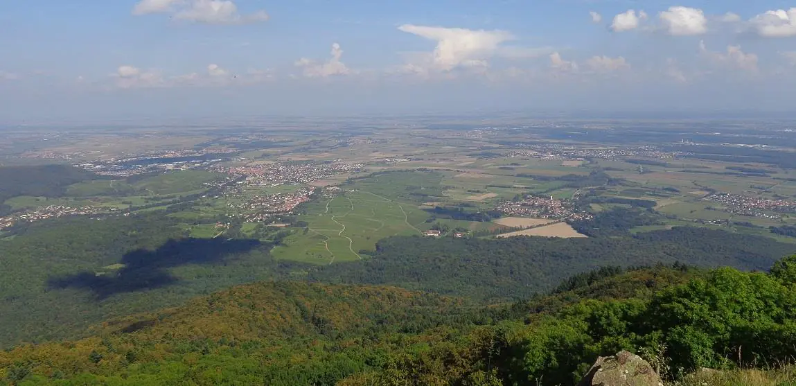 Circuit Le versant Sud du Molkenrain Uffholtz Grand Est