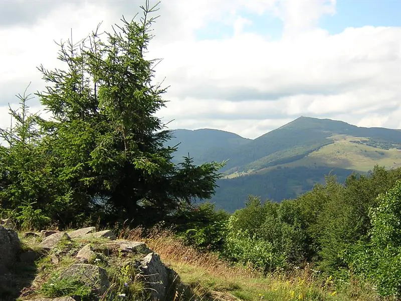 Circuit le tour du Molkenrain par camp turenne Uffholtz Grand Est