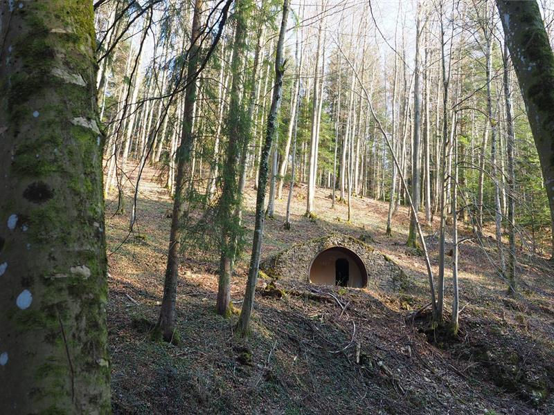 Randonnée pédestre: Le sentier des marocains et la source de l'Ill Winkel Grand Est