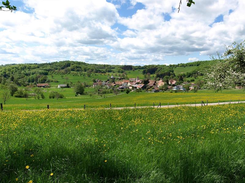 Randonnée pédestre: Bendorf la grotte du Dr Herrings et le Kastelberg Bendorf Grand Est