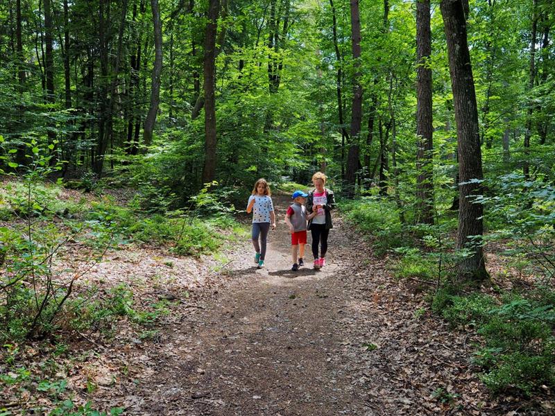 Randonnée pédestre Durmenach Luppach