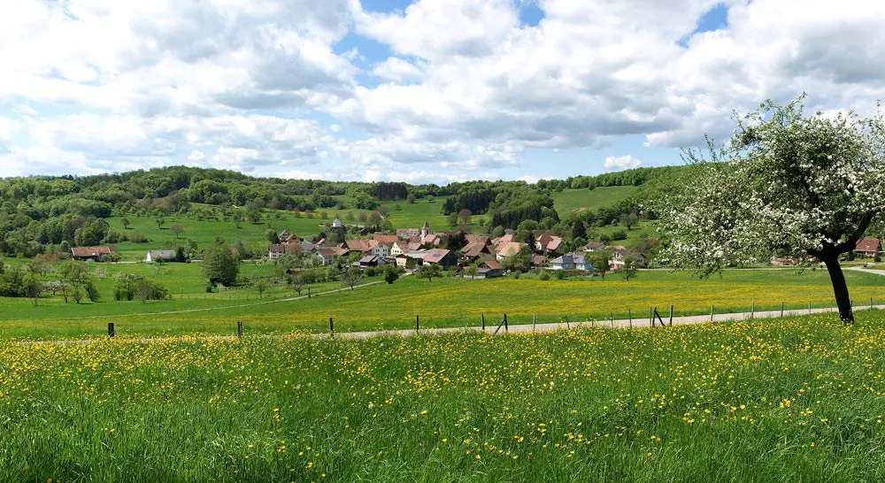 Circuit vélo du Sundgau n°7 La haute vallée de la Largue Ferrette Grand Est