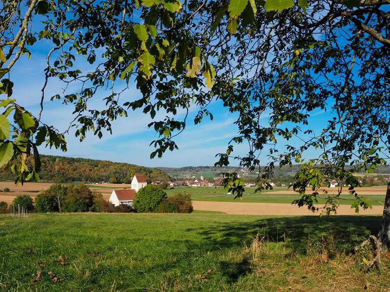 Circuit VTT n°2 Le circuit de St Brice Ferrette Grand Est