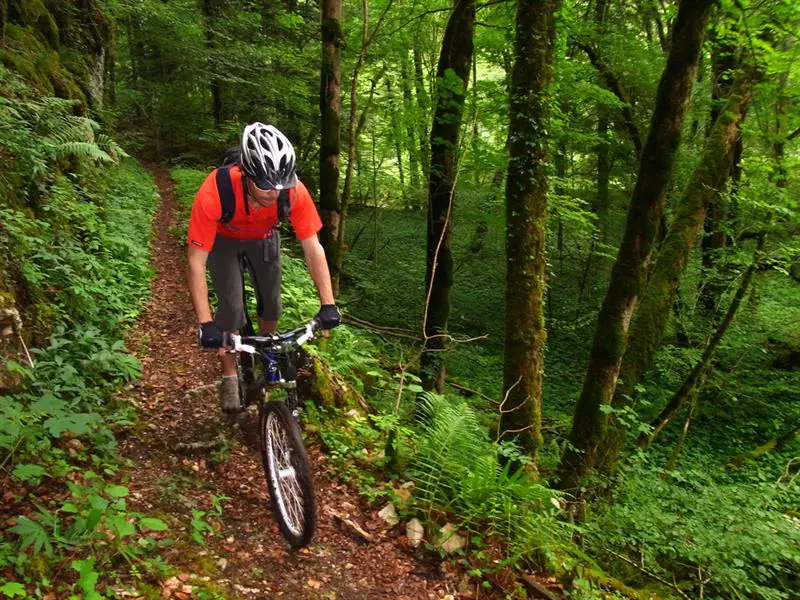 Circuit VTT n°6 Sur les traces de l’abbaye de Lucelle Ferrette Grand Est