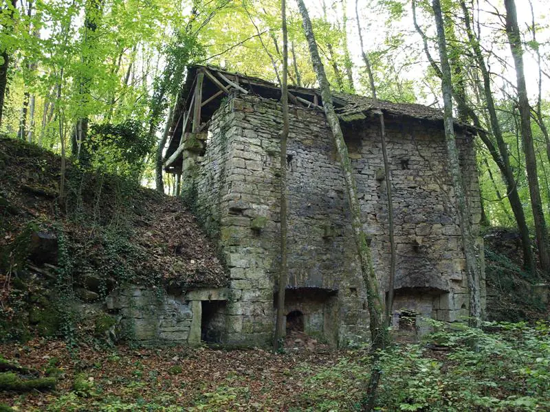 Circuit VTT n°15 La forêt du Talrain Hirsingue Grand Est