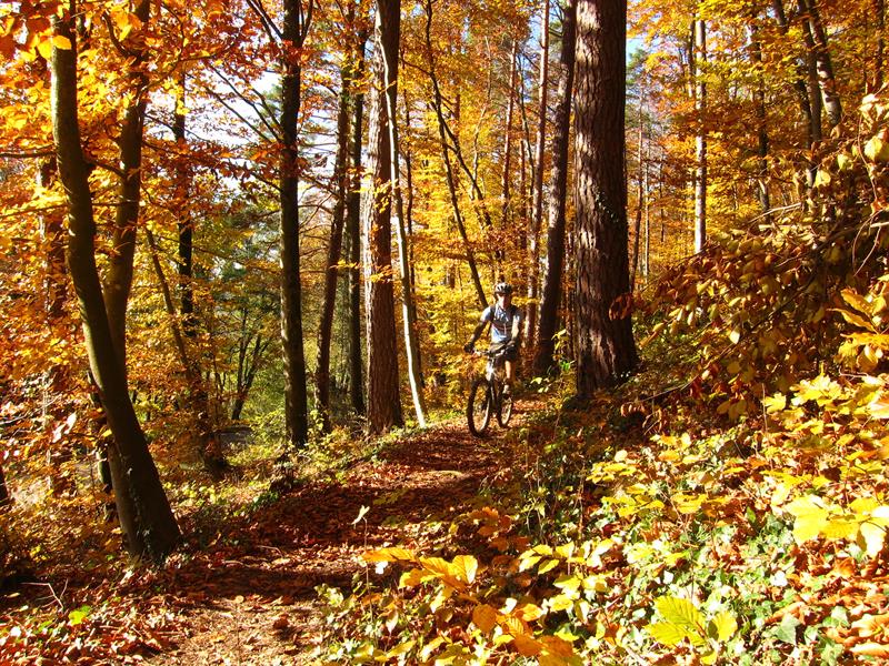 Circuit VTT n°25 Les deux Traubach Bréchaumont Grand Est
