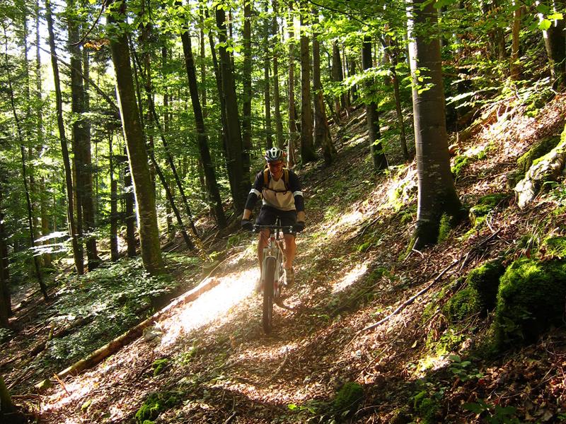 Circuit VTT n°27 Le vallon du Steinbach Bellemagny Grand Est