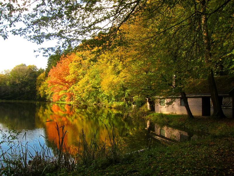 Circuit VTT n°28 Le tour de Ballersdorf Ballersdorf Grand Est