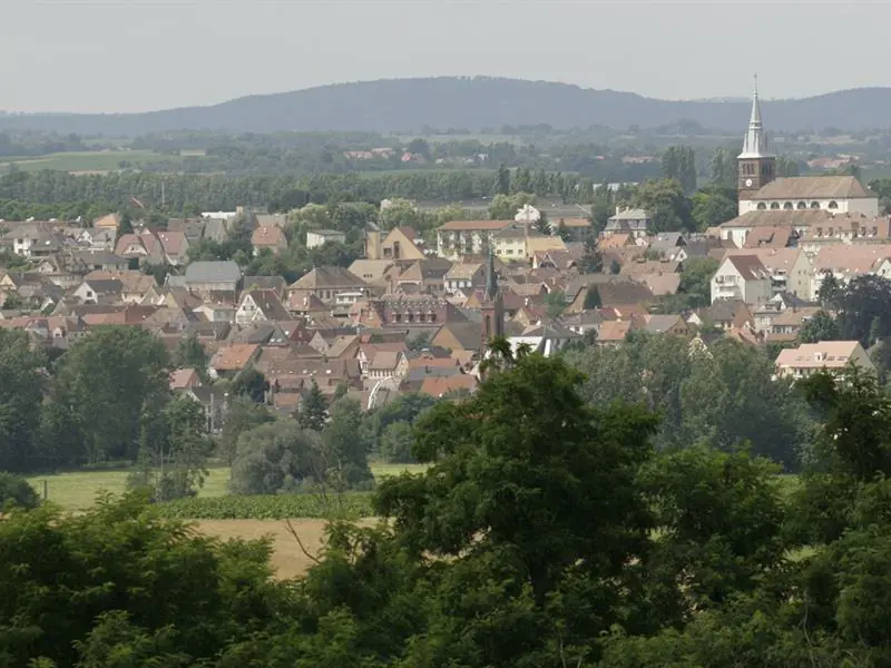 Sentier GRP du Pays de la Zorn Hochfelden Grand Est