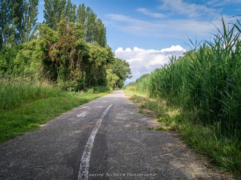 Escapade à Colmar De Neuf-Brisach à Colmar Neuf-Brisach Grand Est