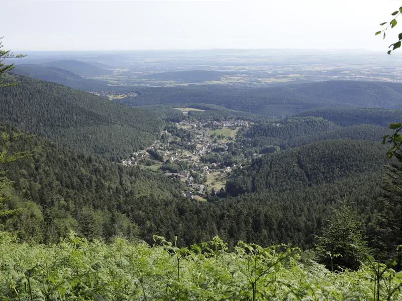 Circuit des Pandours Marche nordique Wangenbourg-Engenthal Grand Est