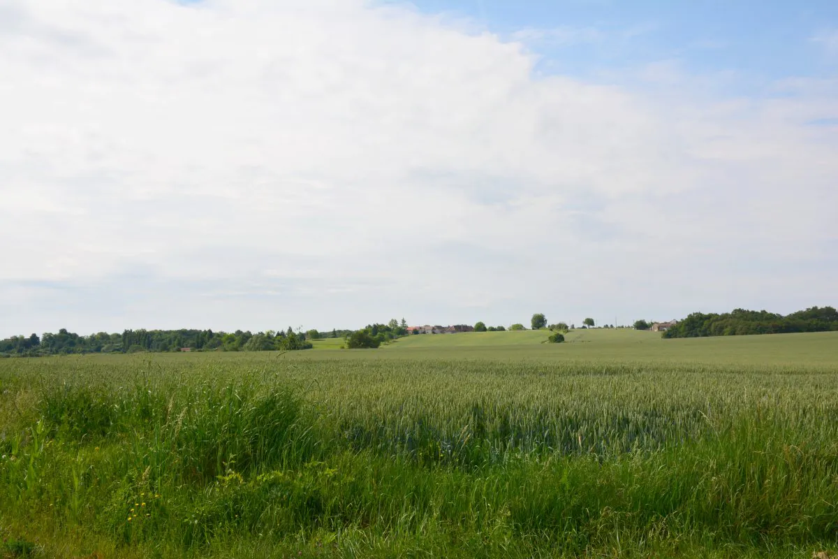 Chemin La Creusette Circuit n°22 Leigné-les-Bois Nouvelle-Aquitaine