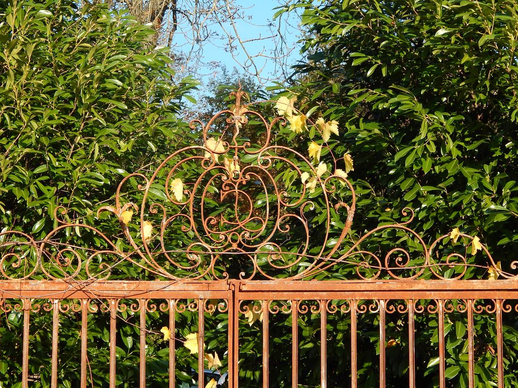 En vignes et jardins Circuit n°24 Lencloître Nouvelle-Aquitaine