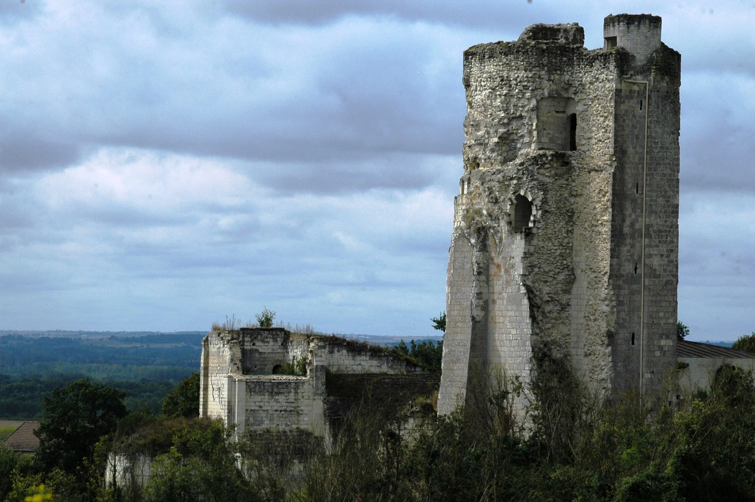 Sur le Haut Clairvaux Scorbé-Clairvaux Nouvelle-Aquitaine