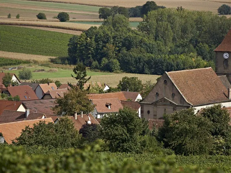 Les circuits de Bachhus Le Trotele Molsheim Grand Est