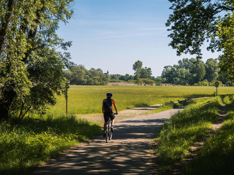 Piste cyclable Dahlenheim / Scharrachbergheim Dahlenheim Grand Est