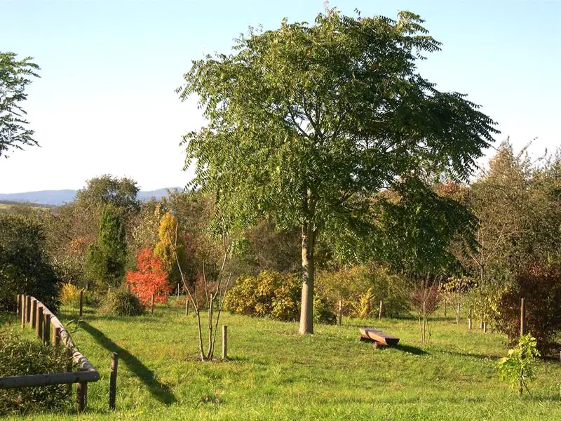 Sentier botanique Griesheim-près-Molsheim Grand Est