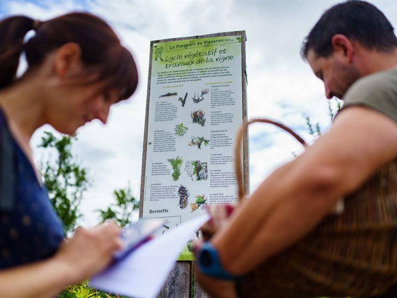 Parcours du vigneron Rosheim Grand Est