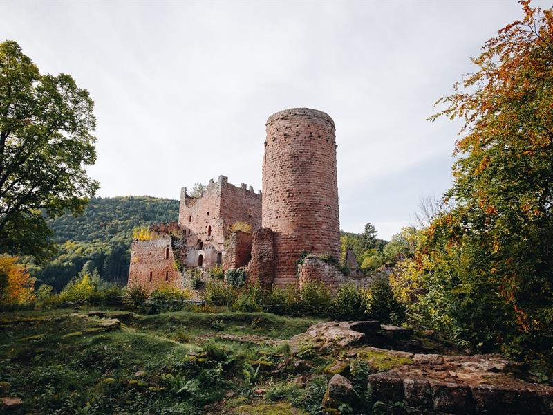 Circuit des Châteaux d'Ottrott Ottrott Grand Est