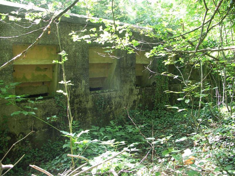 Sentier des casemates Boofzheim Grand Est