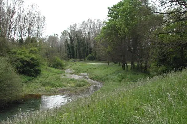 Sentier des escapades du Rhin Marckolsheim Grand Est