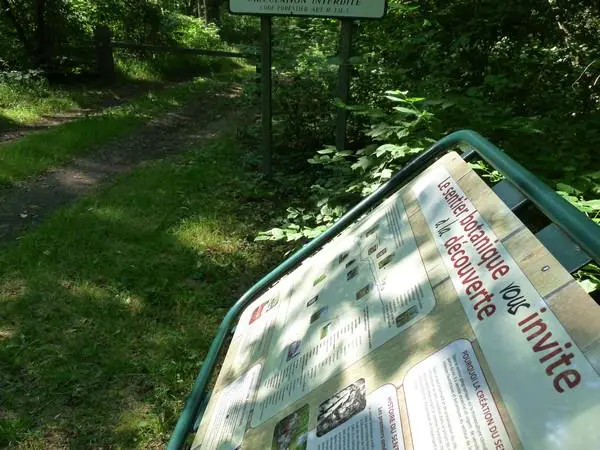 Sentier botanique forêts Riediennes Ohnenheim Grand Est