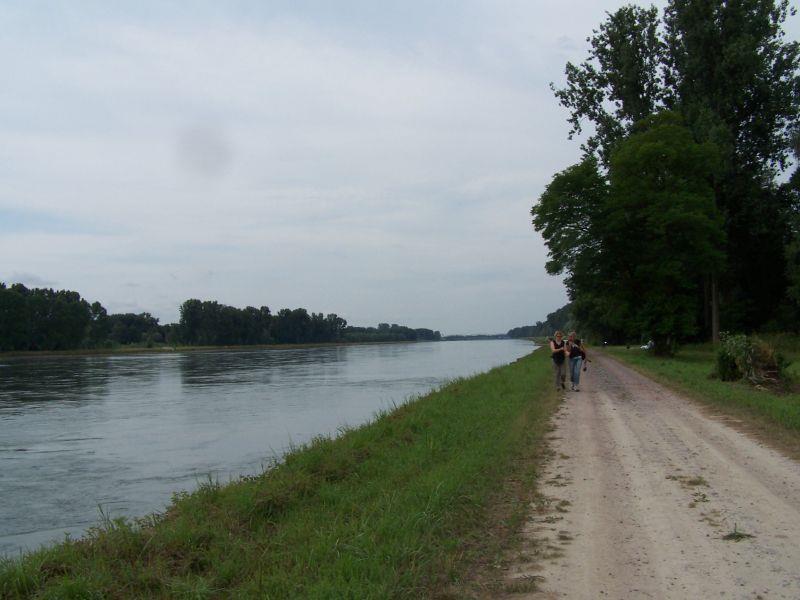 Sentier pédestre Le circuit du Rhin Seltz Grand Est